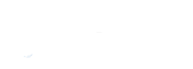 white arctic wolf logo